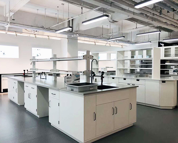 草莓视频在线视频